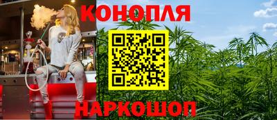 прущие грибы Братск