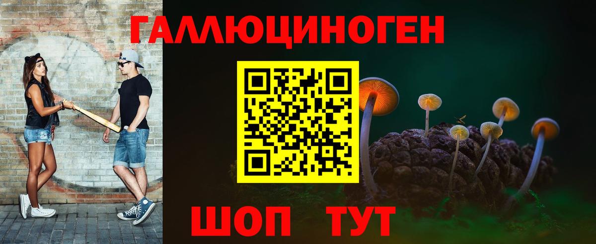 Псилоцибиновые грибы GOLDEN TEACHER Железноводск